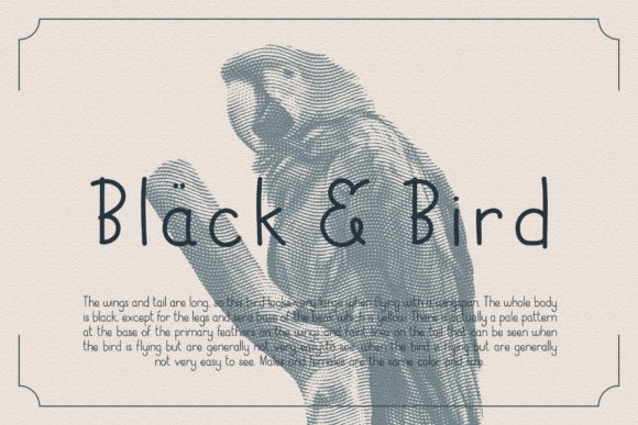Black Bird Font: Adding Personality to Campaign Visuals