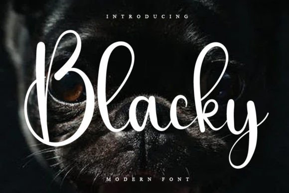 Blacky Font Review: A Handwritten Script for Digital Elegance
