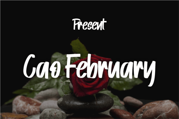 Elevating Editorial Design with the Cao February Typeface